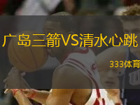 广岛三箭VS清水心跳